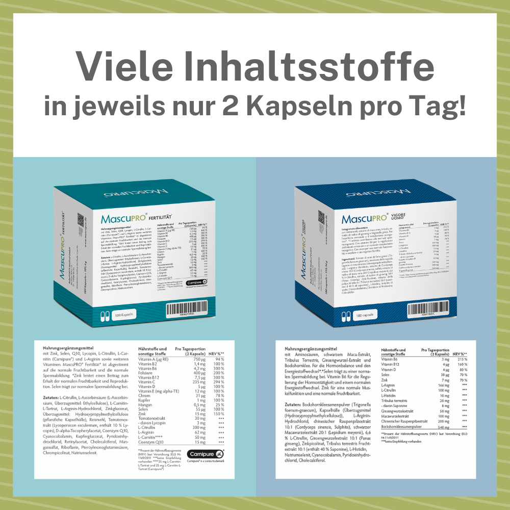 MascuPRO Löwenkraft – viele Inhaltsstoffe in veganen Kapseln!