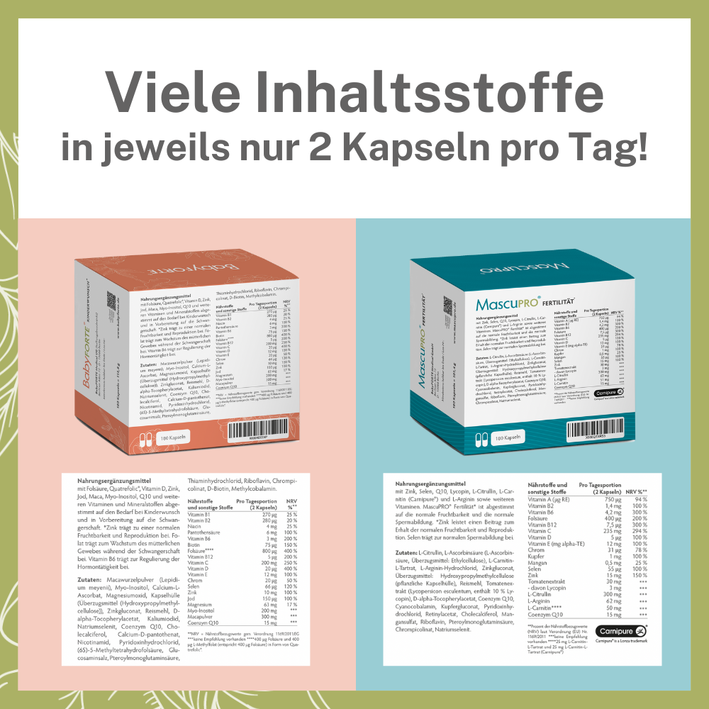 BabyFORTE Kinderwunsch Komplett-Paket – viele Inhaltsstoffe in veganen Kapseln! Kinderwunsch, Fertilität