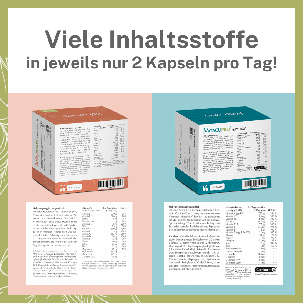 BabyFORTE Kinderwunsch Komplett-Paket oJ – viele Inhaltsstoffe in veganen Kapseln! Kinderwunsch, Fertilität